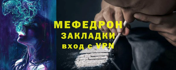 эйфоретик Няндома