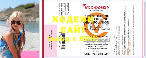 эйфоретик Няндома