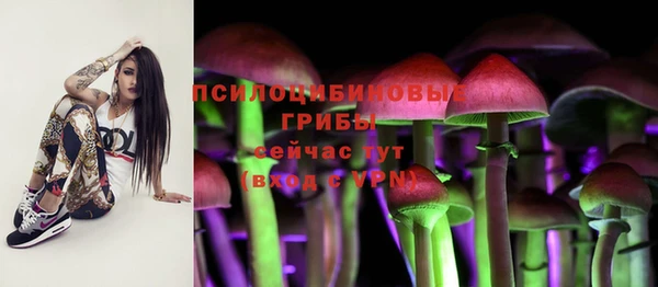 марки nbome Нязепетровск