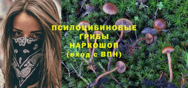 марки nbome Нязепетровск