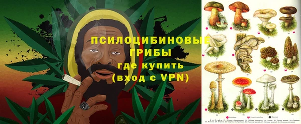 эйфоретик Няндома