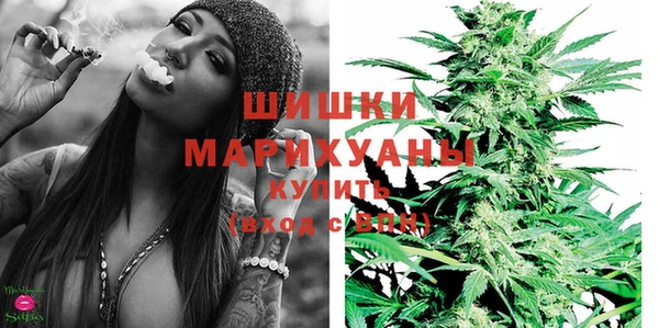 эйфоретик Няндома