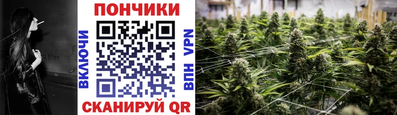 мега   Лихославль  Бошки Шишки Ganja 
