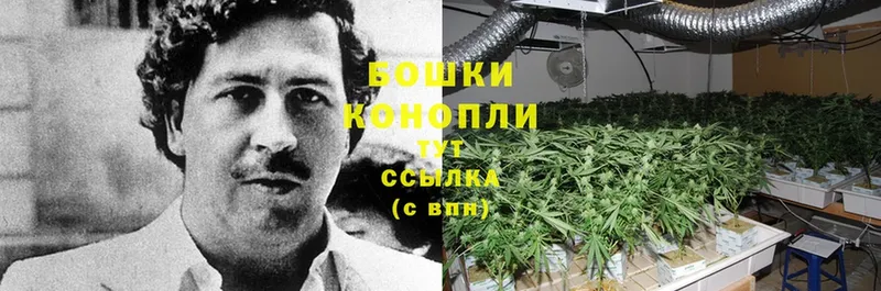 Бошки Шишки конопля  Лихославль 